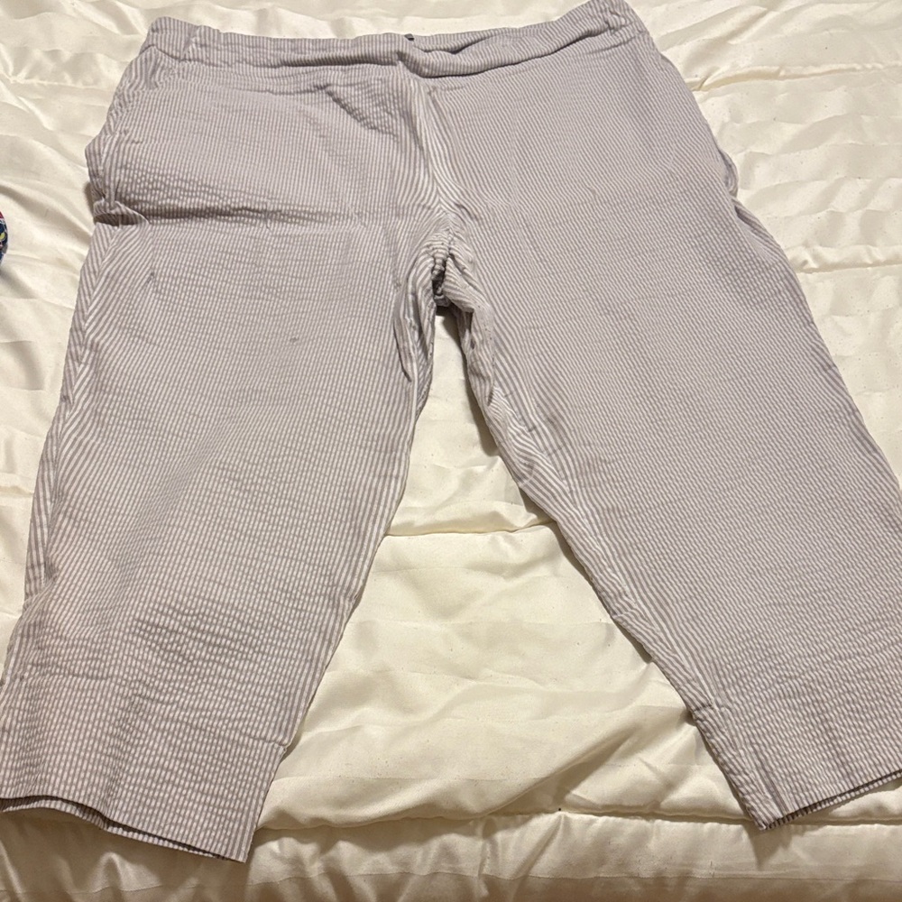 Dalia Women's Cropped Pants in Light Gray
